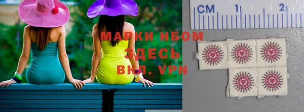 твердый Надым