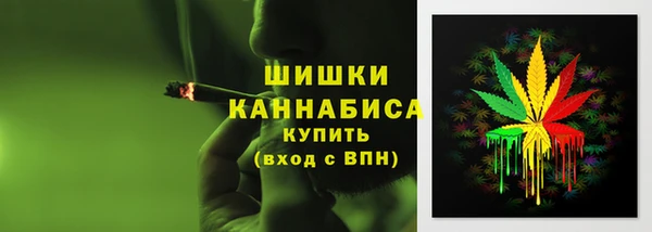 твердый Надым