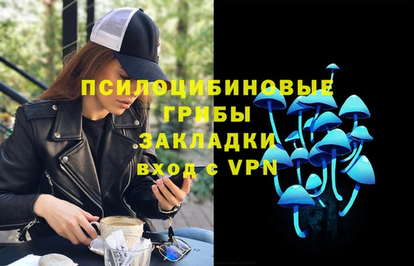 дживик Наволоки