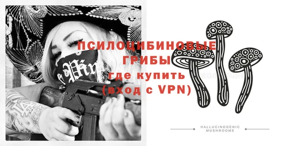 твердый Надым