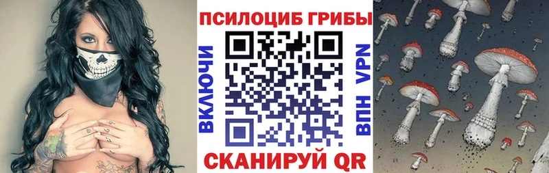 Купить закладки  Шадринск  Галлюциногенные грибы прущие грибы 