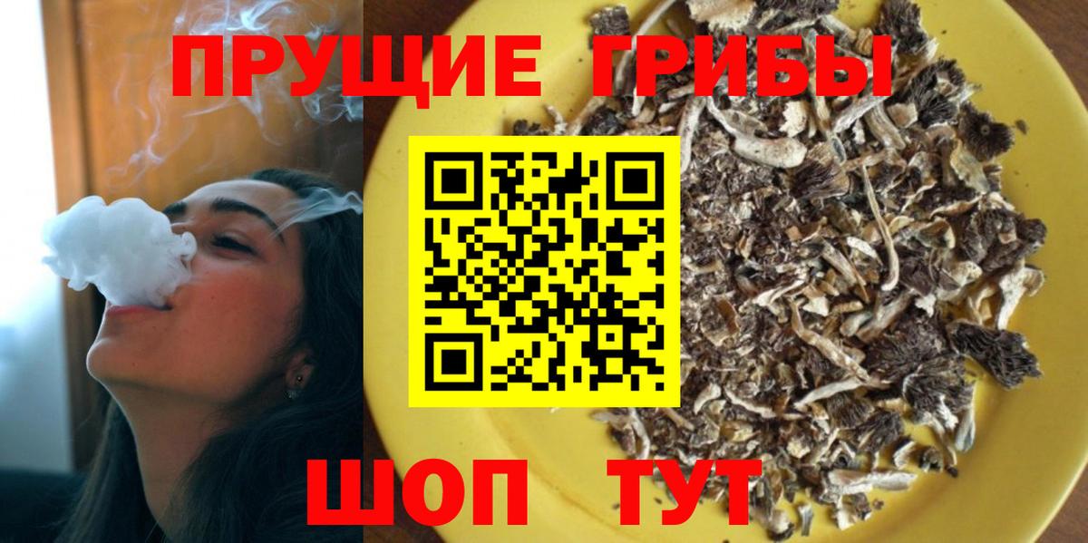 Галлюциногенные грибы MAGIC MUSHROOMS  Вход с VPN  Псилоцибиновые грибы мицелий  Шадринск 
