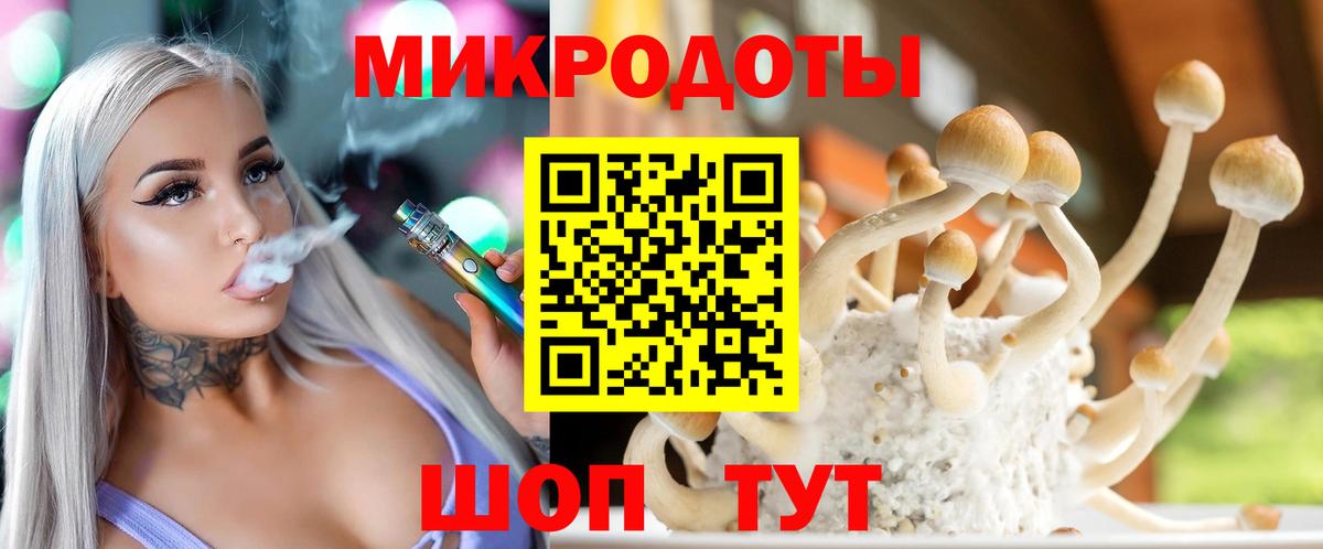 Псилоцибиновые грибы Psilocybe Шадринск