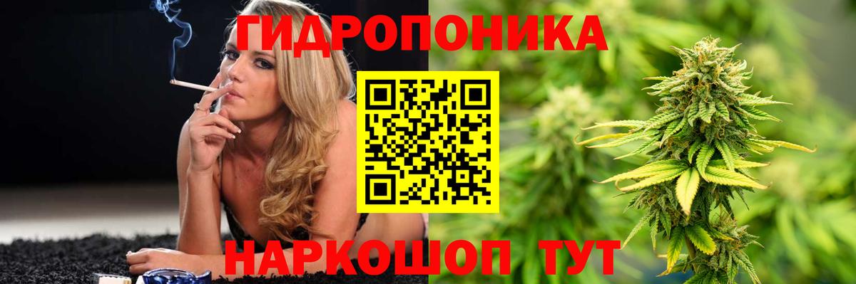 Конопля OG Kush Шадринск