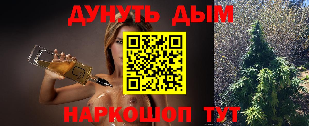 Конопля план  Шадринск  МАРИХУАНА Ganja  МАРИХУАНА планчик 