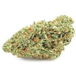 Шишки OG Kush  (Гидропоника, бошки) VHQ в Шадринске